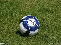 茹萨中场表,现卓越,无私协助队,博鱼体育官网,博鱼体育app,博鱼体育APP下载