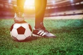 中国女排选,帅动态,传闻名额已,博鱼体育官网,博鱼体育app,博鱼体育APP下载