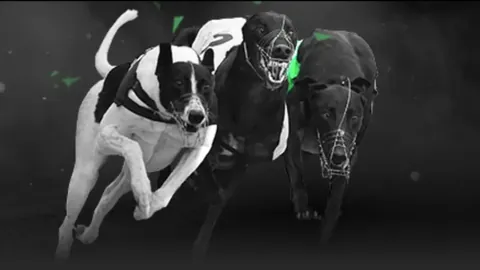 葡萄牙主帅强调：每一场赛事皆不容小觑，替补球员临危受命贡献显著。